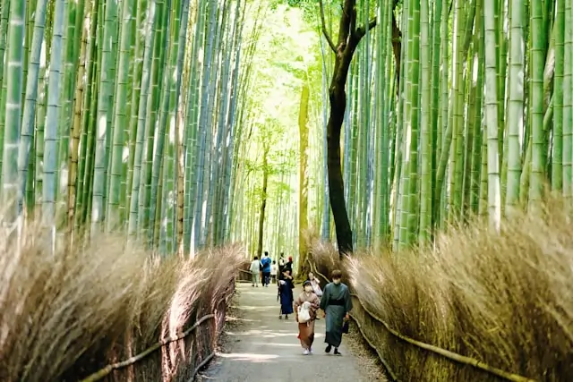 Go Holidays Arashiyama Bamboo Grove (Kyoto)