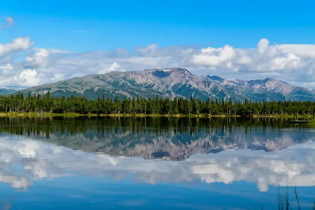 Go Holidays Denali National Park and Preserve, United States
