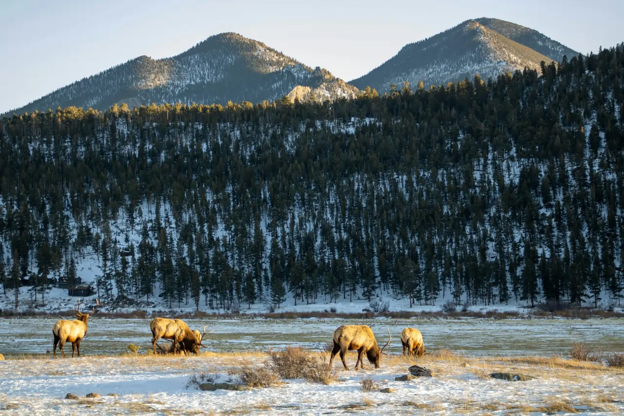 Rocky Mountains