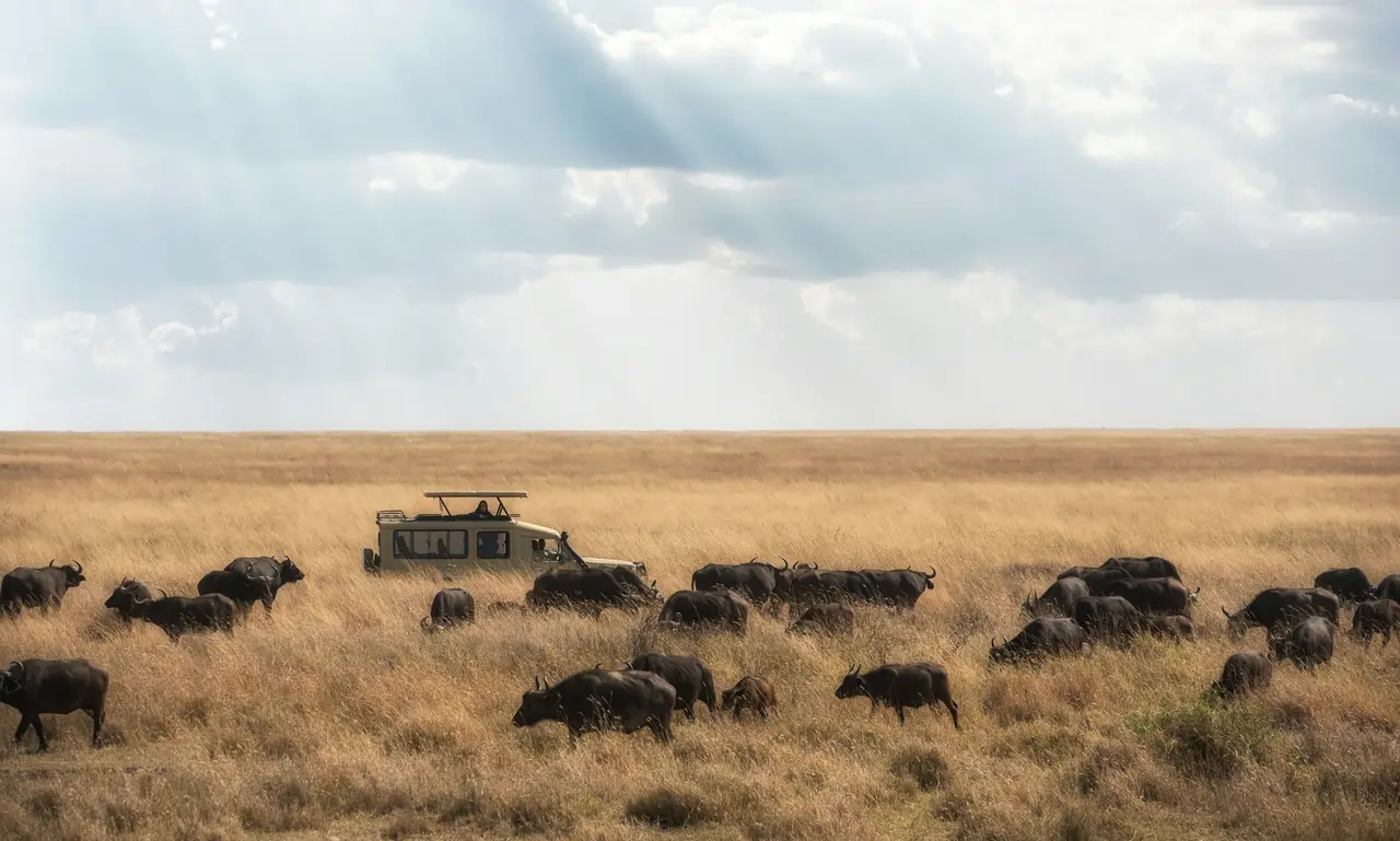 Serengeti, Tanzania