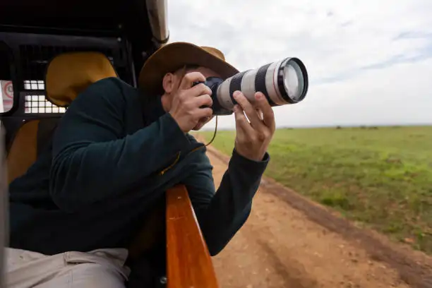 Go Holidays Outbound Travel Agency The Call of the Wild: Kenya’s Safari Experience