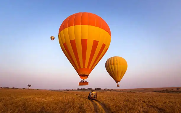 Go Holidays Outbound Travel Agency The Call of the Wild: Kenya’s Safari Experience